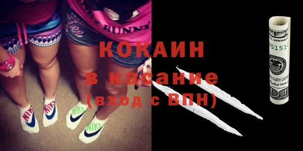 ПСИЛОЦИБИНОВЫЕ ГРИБЫ Заводоуковск
