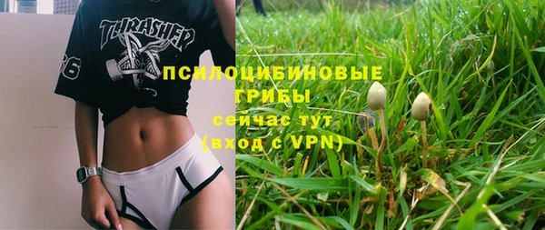 ПСИЛОЦИБИНОВЫЕ ГРИБЫ Заводоуковск