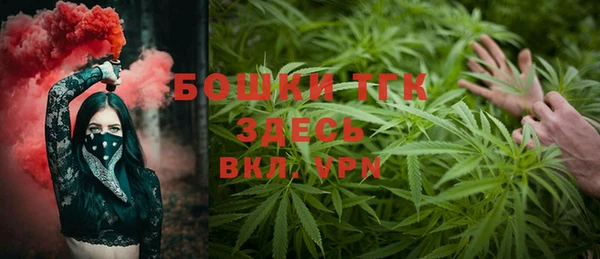 ПСИЛОЦИБИНОВЫЕ ГРИБЫ Заводоуковск
